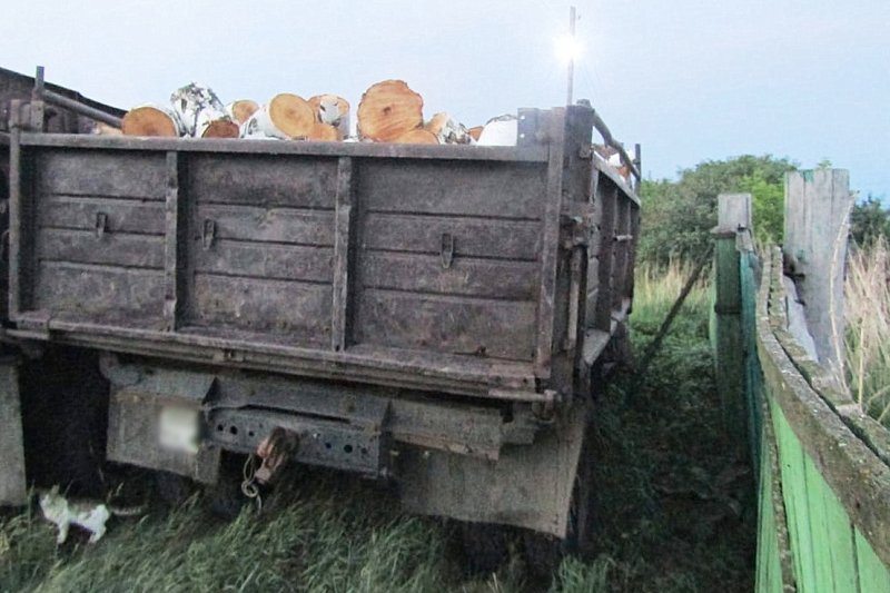 Житель Петуховского округа подозревается в незаконной рубке лесных насаждений